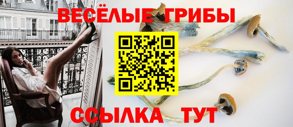 Псилоцибиновые грибы мицелий Татарск