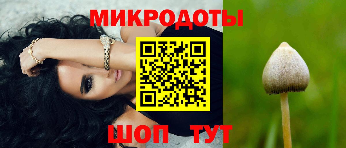 Татарск  Псилоцибиновые грибы Psilocybe  Псилоцибиновые грибы Magic Shrooms  Вход с VPN 